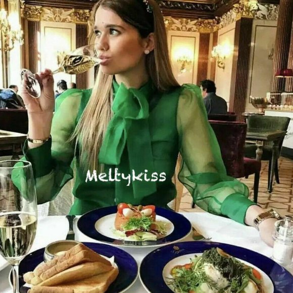 NWT ZARA SEMI-SHEER ORGANZA BLOUSE WITH TIE Sz-XS - Picture 4 of 8